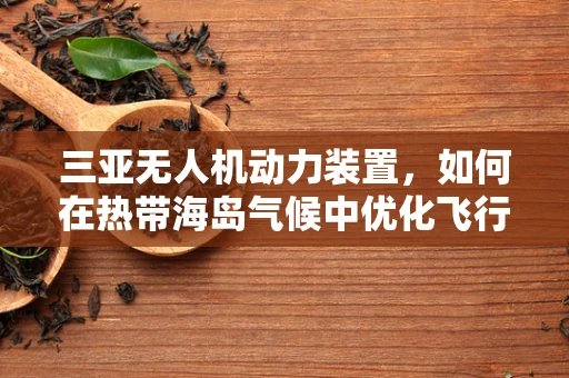 三亚无人机动力装置，如何在热带海岛气候中优化飞行性能？