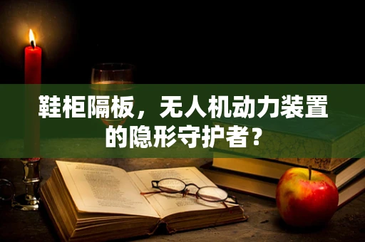 鞋柜隔板，无人机动力装置的隐形守护者？