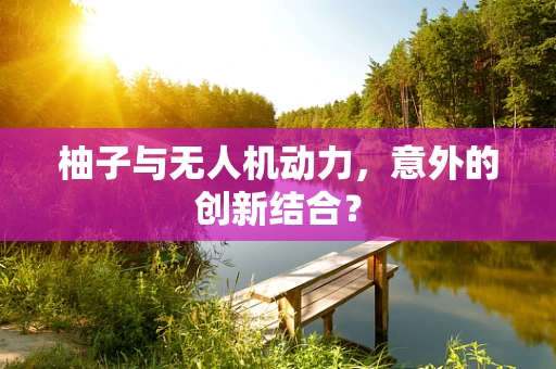 柚子与无人机动力，意外的创新结合？