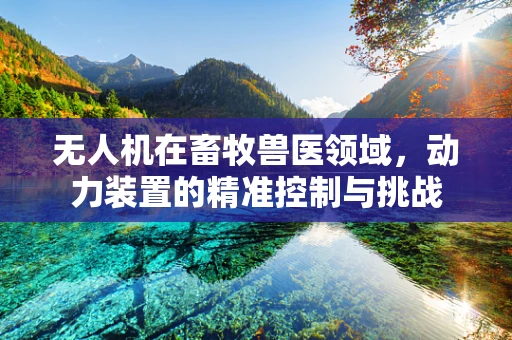 无人机在畜牧兽医领域，动力装置的精准控制与挑战