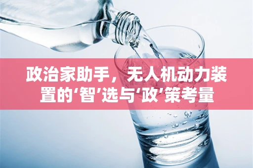 政治家助手，无人机动力装置的‘智’选与‘政’策考量