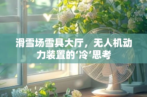滑雪场雪具大厅，无人机动力装置的‘冷’思考