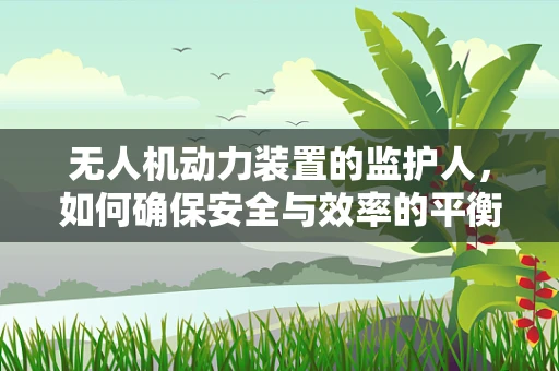 无人机动力装置的监护人，如何确保安全与效率的平衡？