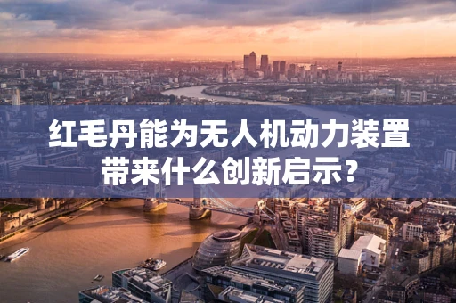 红毛丹能为无人机动力装置带来什么创新启示？