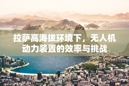 拉萨高海拔环境下，无人机动力装置的效率与挑战