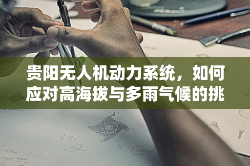 贵阳无人机动力系统，如何应对高海拔与多雨气候的挑战？