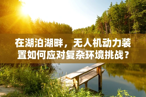 在湖泊湖畔，无人机动力装置如何应对复杂环境挑战？