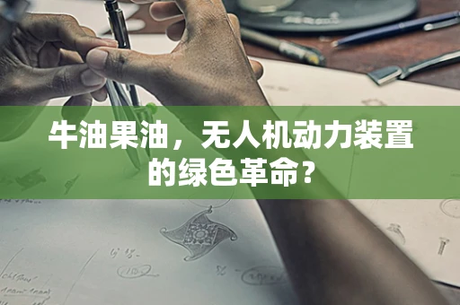 牛油果油，无人机动力装置的绿色革命？