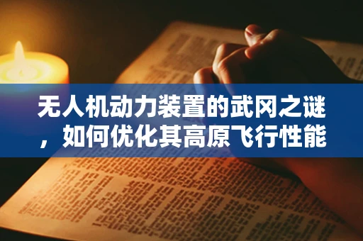 无人机动力装置的武冈之谜，如何优化其高原飞行性能？