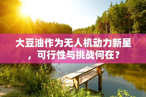 大豆油作为无人机动力新星，可行性与挑战何在？