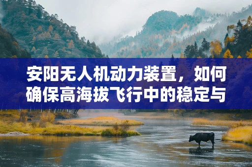 安阳无人机动力装置，如何确保高海拔飞行中的稳定与安全？