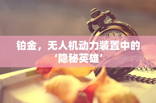 铂金，无人机动力装置中的‘隐秘英雄’