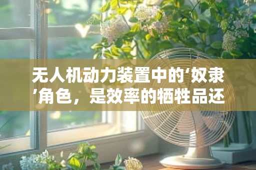 无人机动力装置中的‘奴隶’角色，是效率的牺牲品还是创新的催化剂？