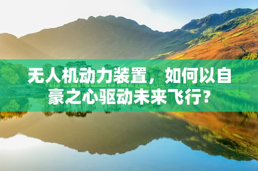 无人机动力装置，如何以自豪之心驱动未来飞行？