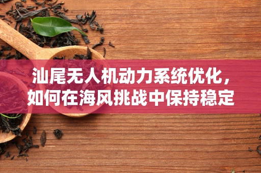 汕尾无人机动力系统优化，如何在海风挑战中保持稳定飞行？