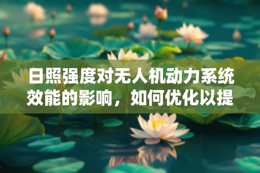 日照强度对无人机动力系统效能的影响，如何优化以提升飞行效率？