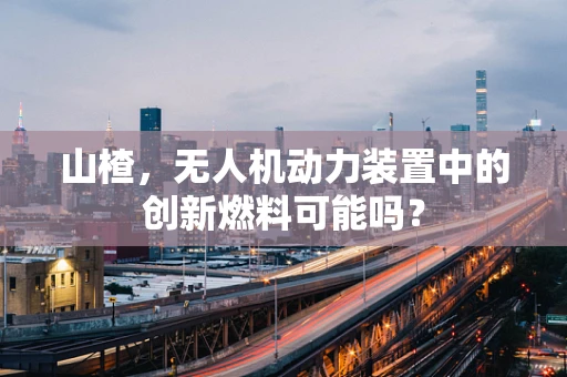 山楂，无人机动力装置中的创新燃料可能吗？