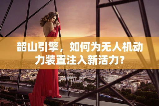 韶山引擎，如何为无人机动力装置注入新活力？