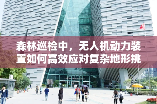 森林巡检中，无人机动力装置如何高效应对复杂地形挑战？