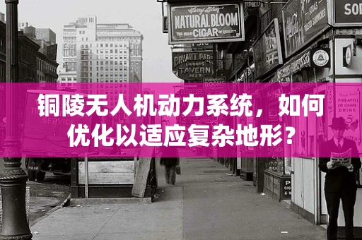 铜陵无人机动力系统，如何优化以适应复杂地形？