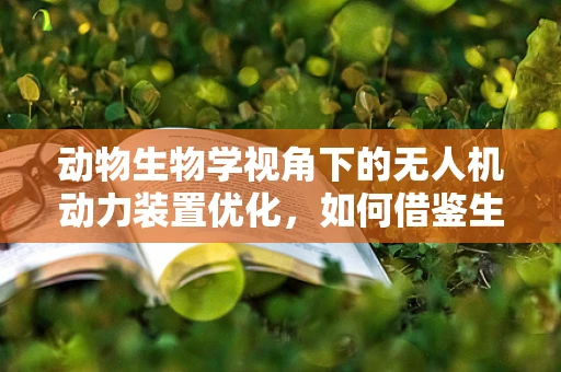 动物生物学视角下的无人机动力装置优化，如何借鉴生物飞行机制？