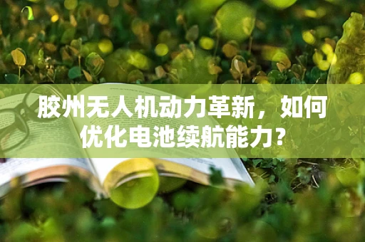 胶州无人机动力革新，如何优化电池续航能力？