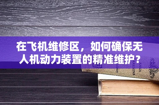 在飞机维修区，如何确保无人机动力装置的精准维护？