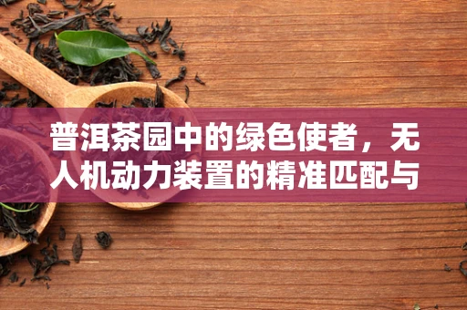 普洱茶园中的绿色使者，无人机动力装置的精准匹配与挑战