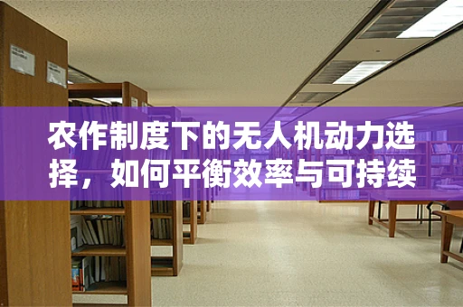 农作制度下的无人机动力选择，如何平衡效率与可持续性？