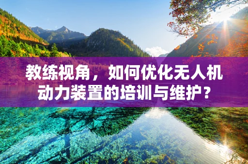 教练视角，如何优化无人机动力装置的培训与维护？